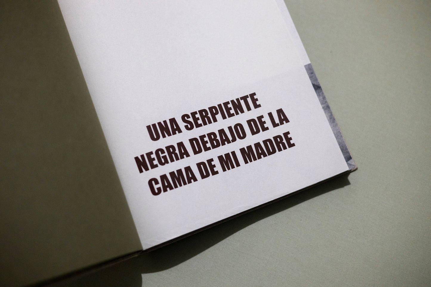 Una serpiente negra debajo de la cama de mi madre